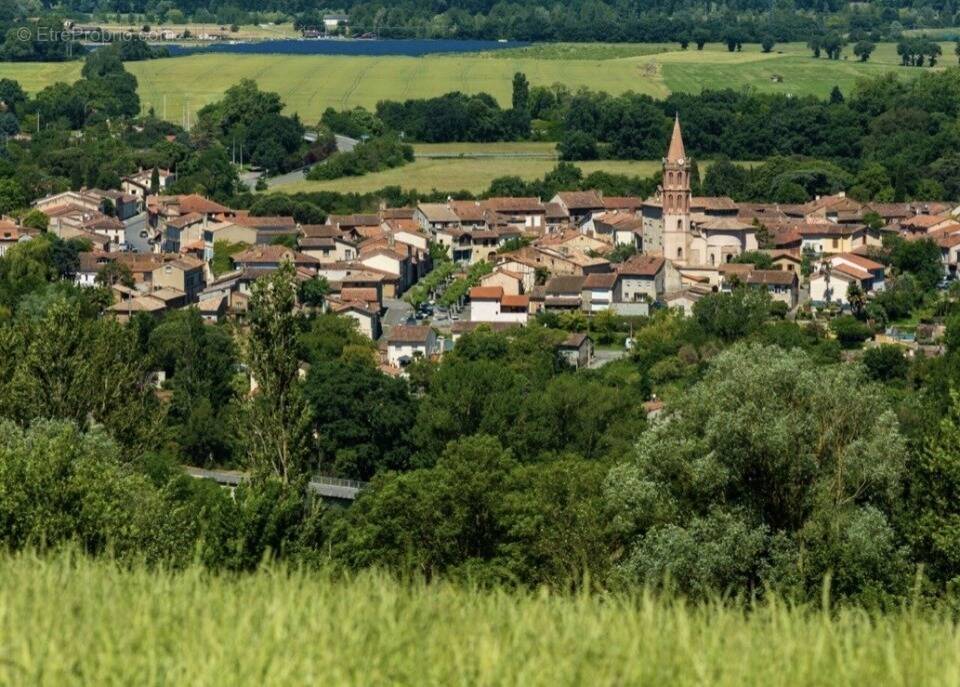 Terrain à NOE