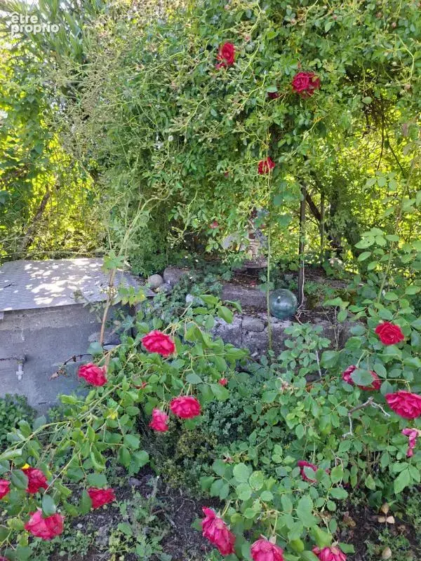 jolie maison pierre typique - photo 5