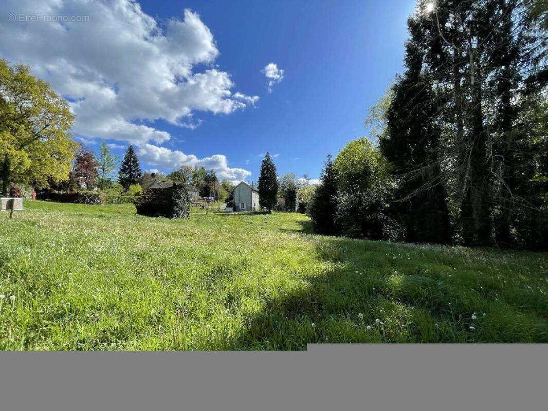 Terrain à CHATEAUNEUF-LA-FORET