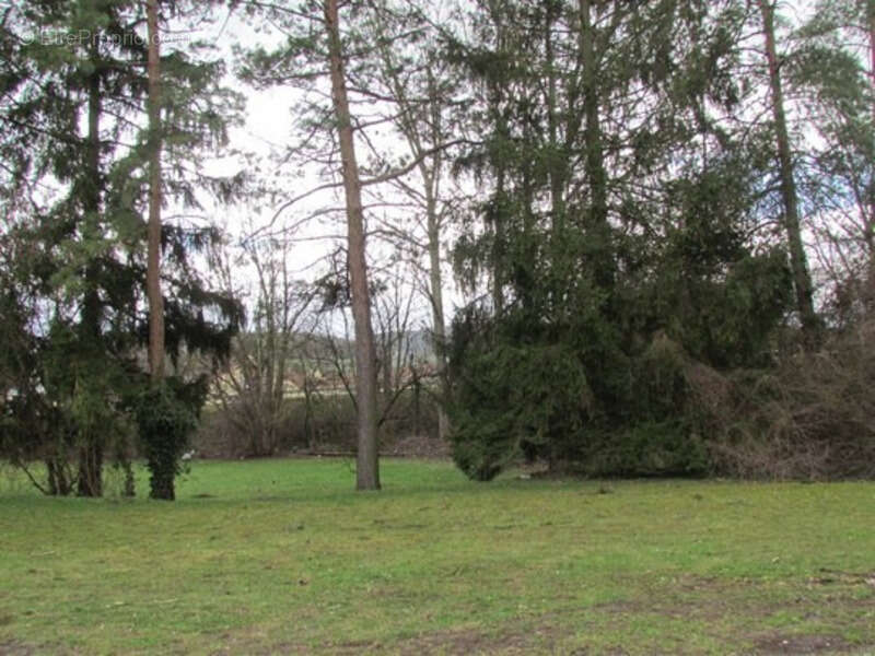 Terrain à WASSELONNE