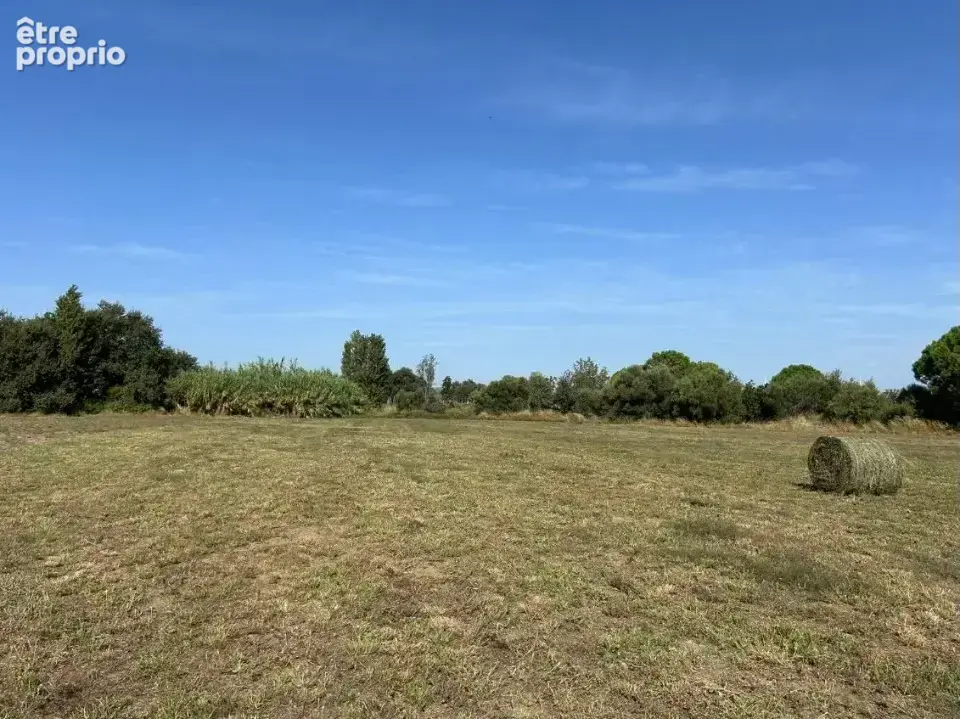 Photo Terrain à Villeneuve-La-Riviere au prix de 99 900€
