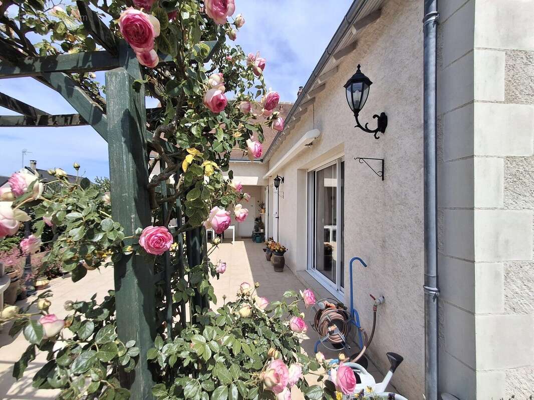 Maison à TOURS