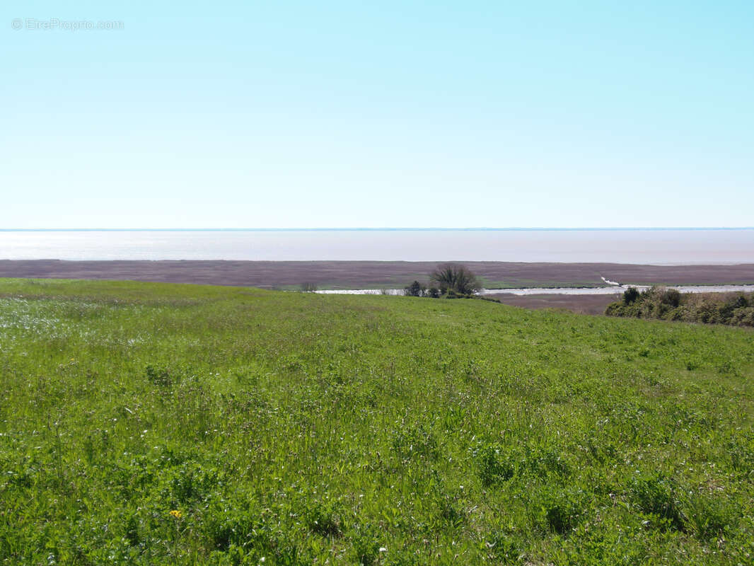 Maison à CHENAC-SAINT-SEURIN-D&#039;UZET