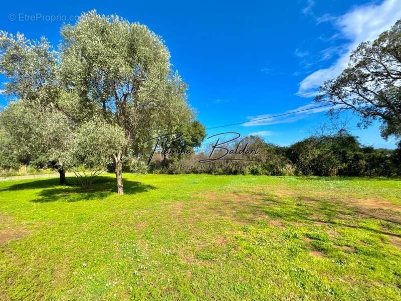 Maison à PENTA-DI-CASINCA