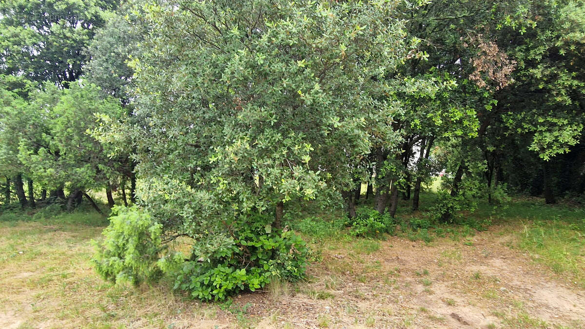 Terrain à LA BOISSIERE