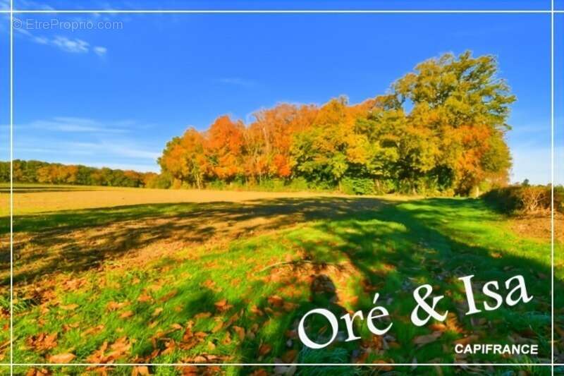 Terrain à SAINT-DESIRE