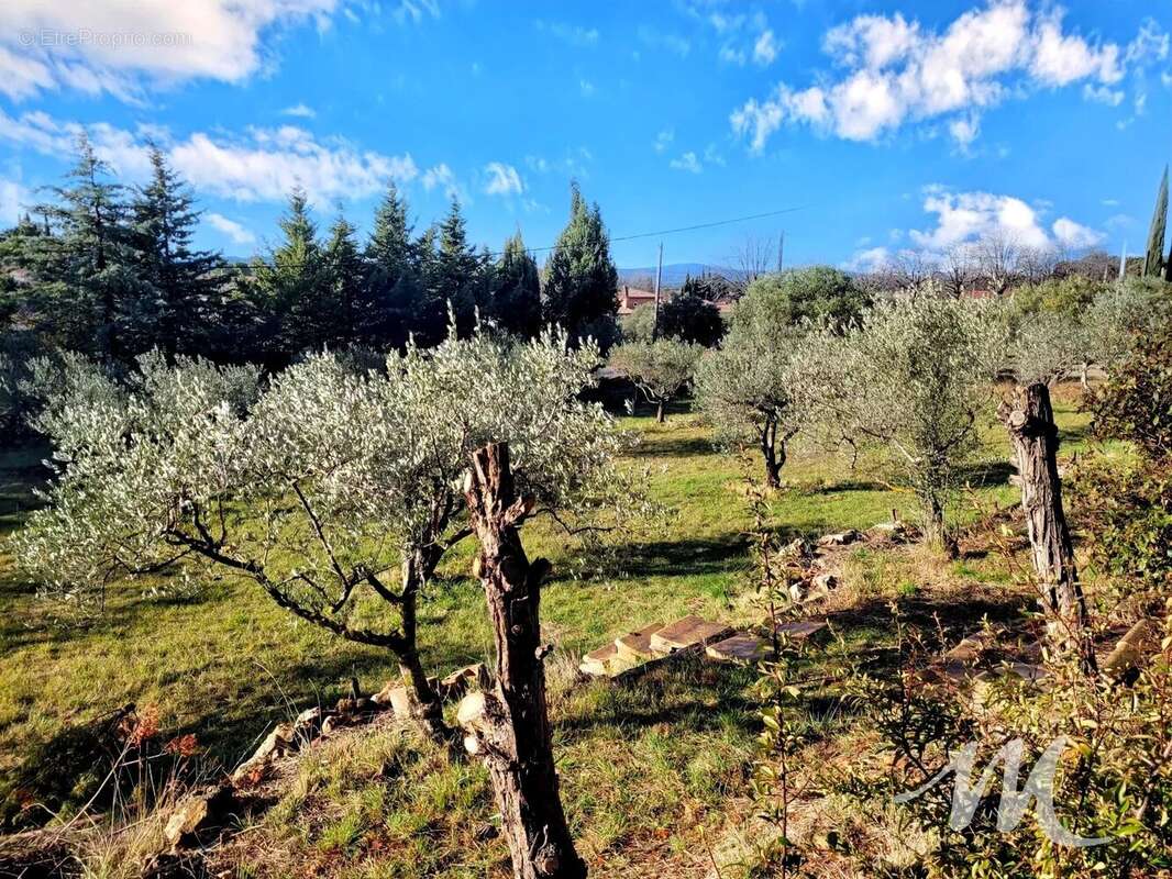 Maison de plain-pied sur 3200 m² de terrain à vendre à Aups ! - photo 2