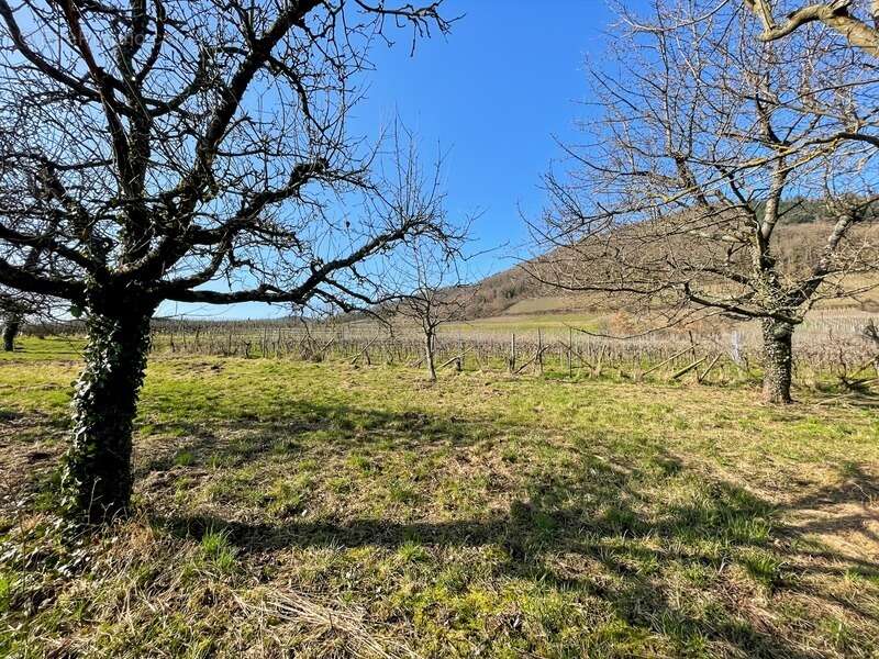 Terrain à CHATENOIS