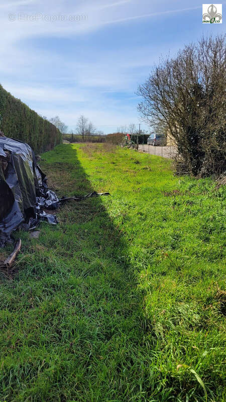 Terrain à PAGNY-LE-CHATEAU