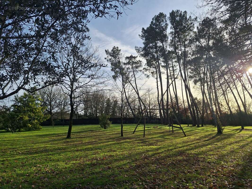 Maison à BAINS-SUR-OUST