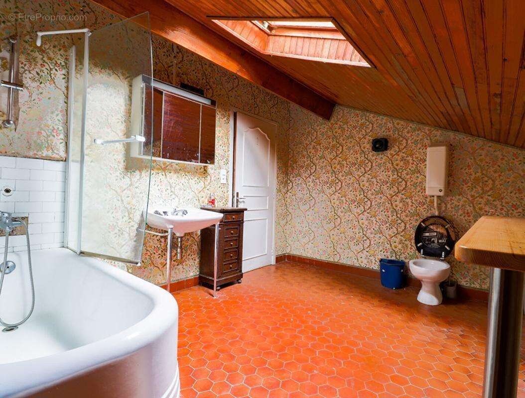 Maison à BRASSAC