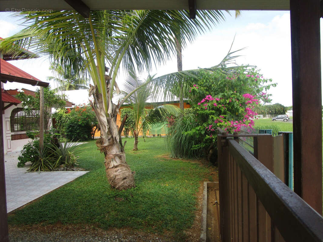 Maison à KOUROU