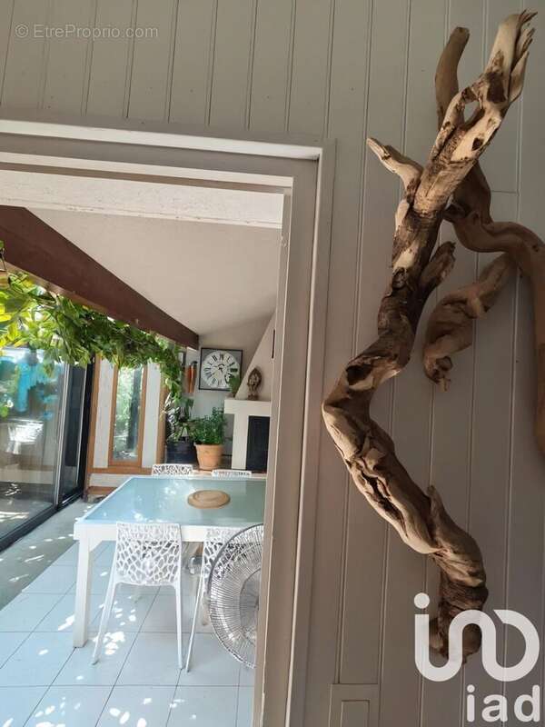 Photo 9 - Maison à GRUISSAN