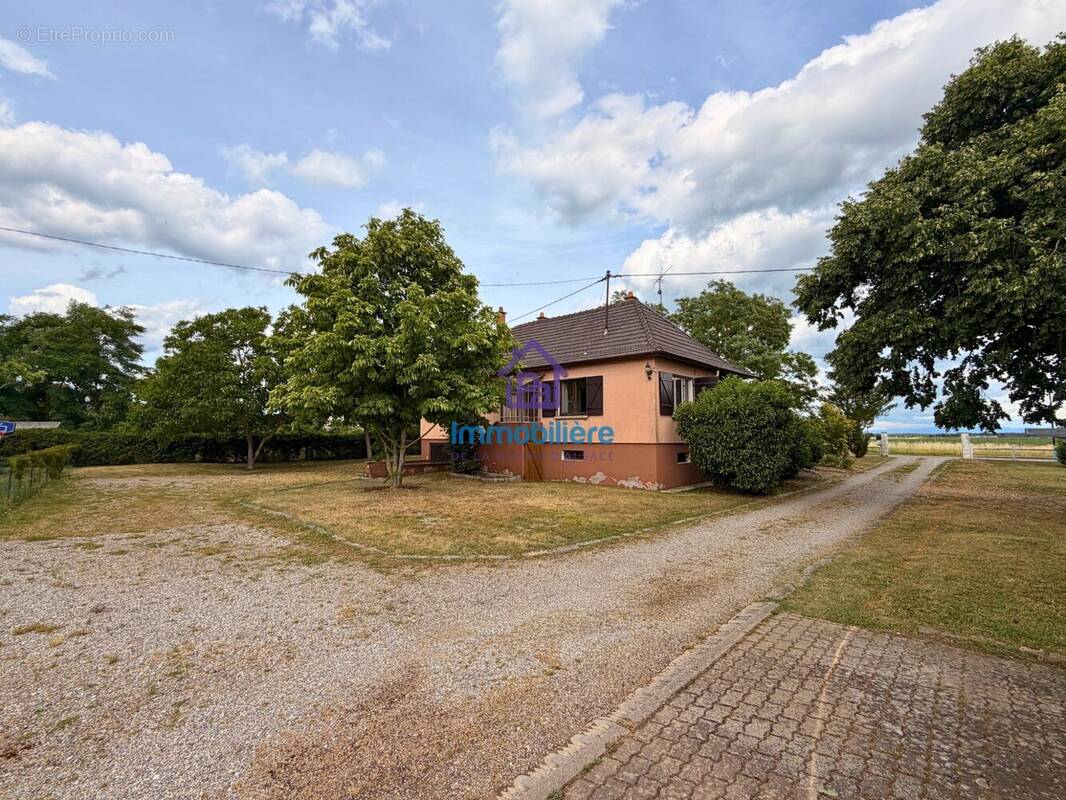 Maison à HIRTZFELDEN