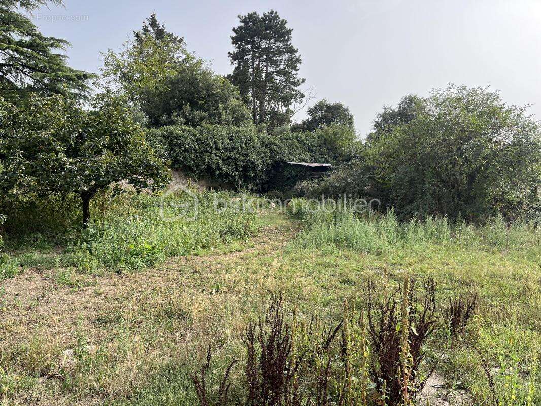 Terrain de 7084 m2 dont 600m2 constructible avec un plan d'eau - photo 3