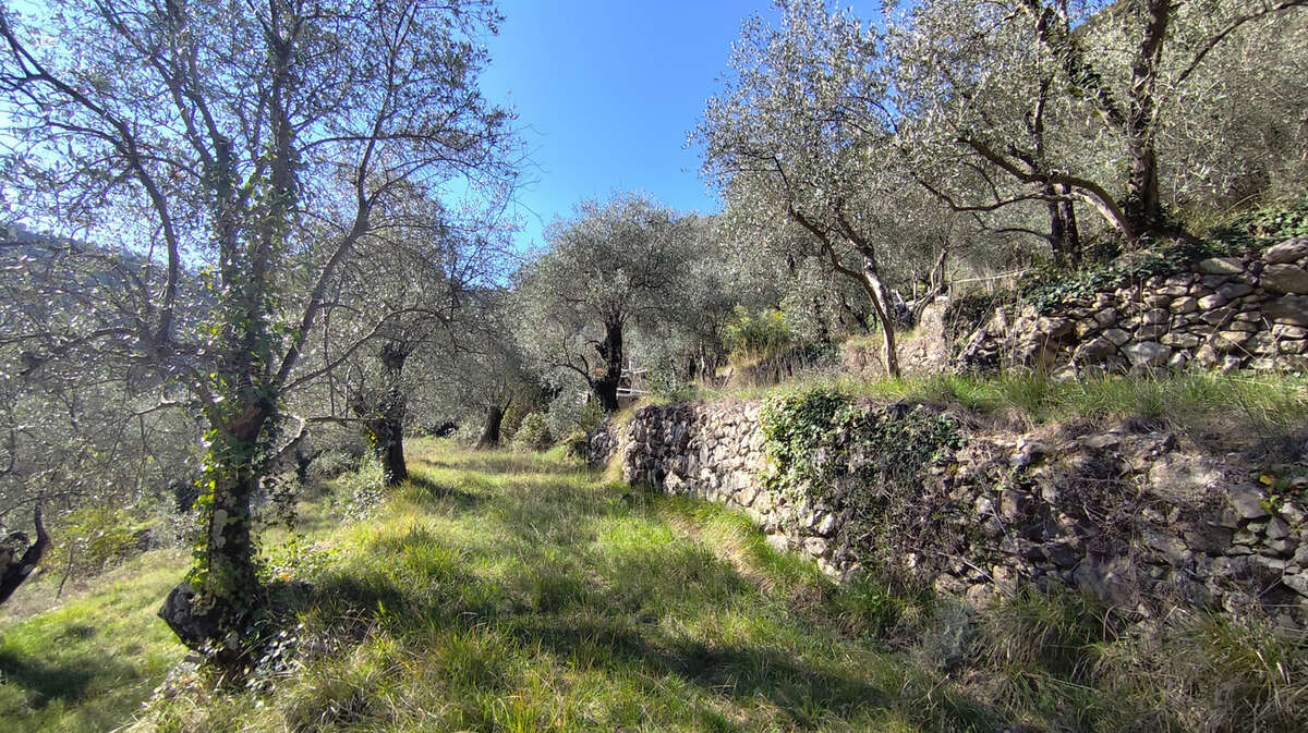 Maison à BREIL-SUR-ROYA