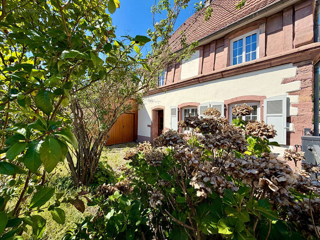 Maison Buhl 174 m2 - photo 3
