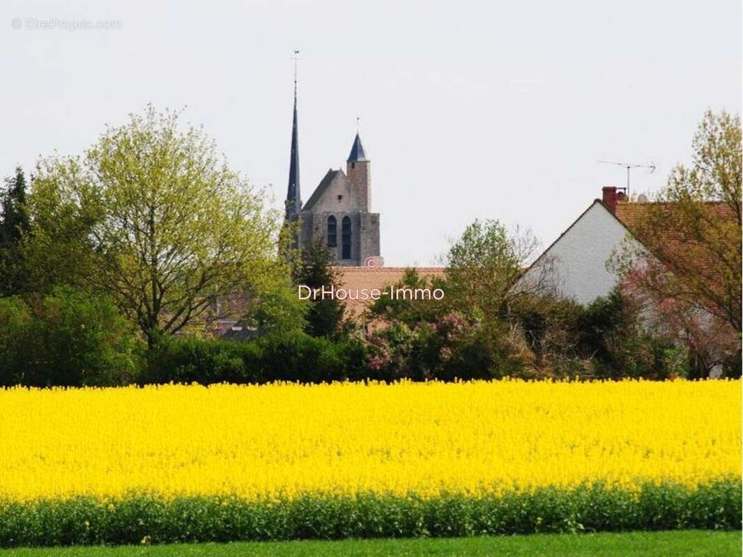 Terrain à SAACY-SUR-MARNE