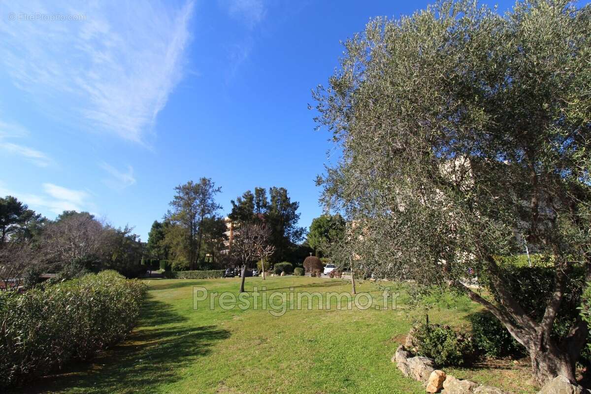 Appartement 51 m² à Antibes  - photo 4