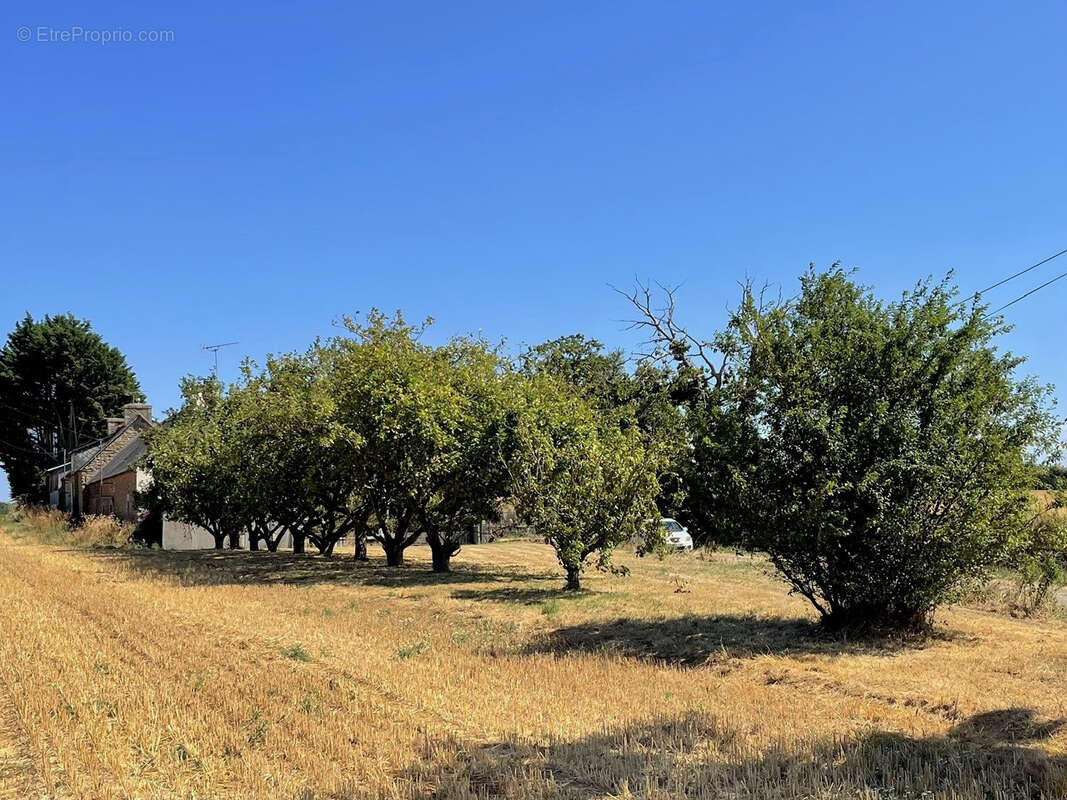 Maison en pierre à la campagne - vie de plain pied. - photo 13