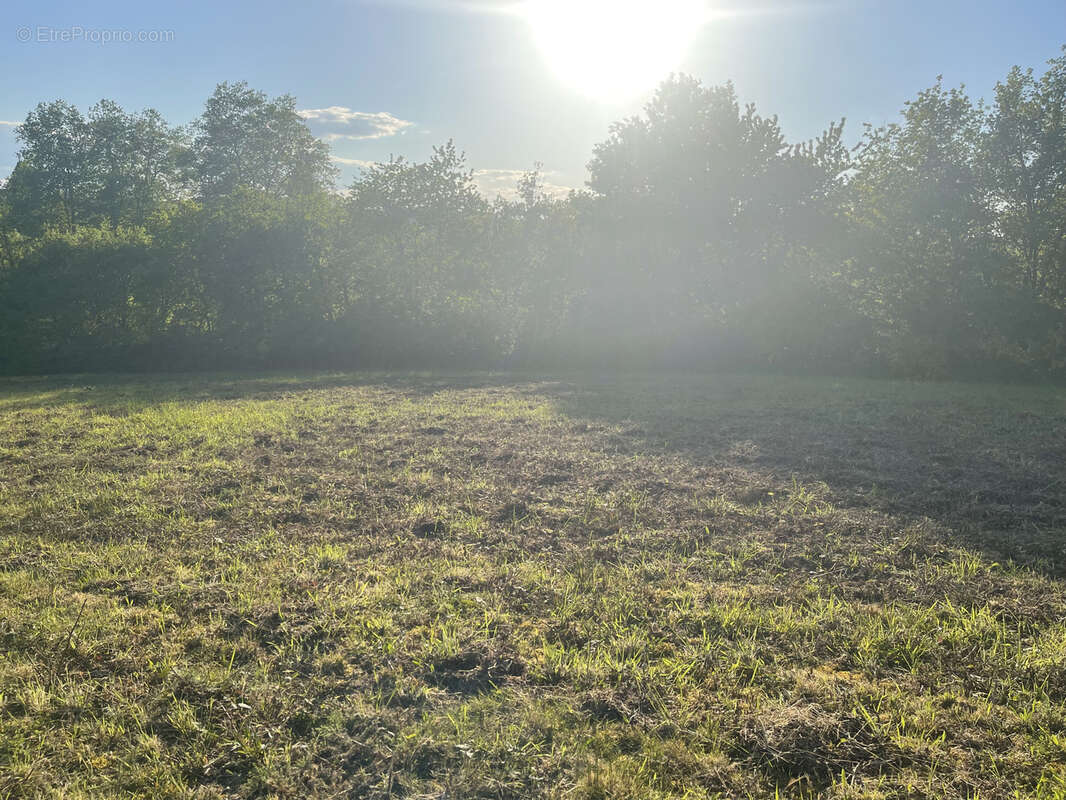 Terrain à ORTHEZ