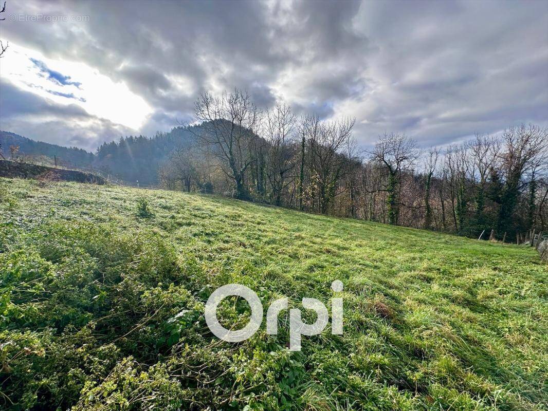 Terrain à LA COMBE-DE-LANCEY