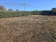 Terrain à FOX-AMPHOUX