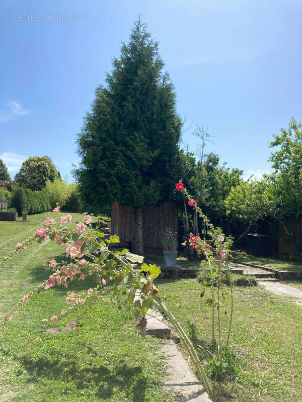 Maison à BARBEZIEUX-SAINT-HILAIRE