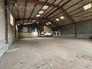 Photo 1 - Maison à HALLINES