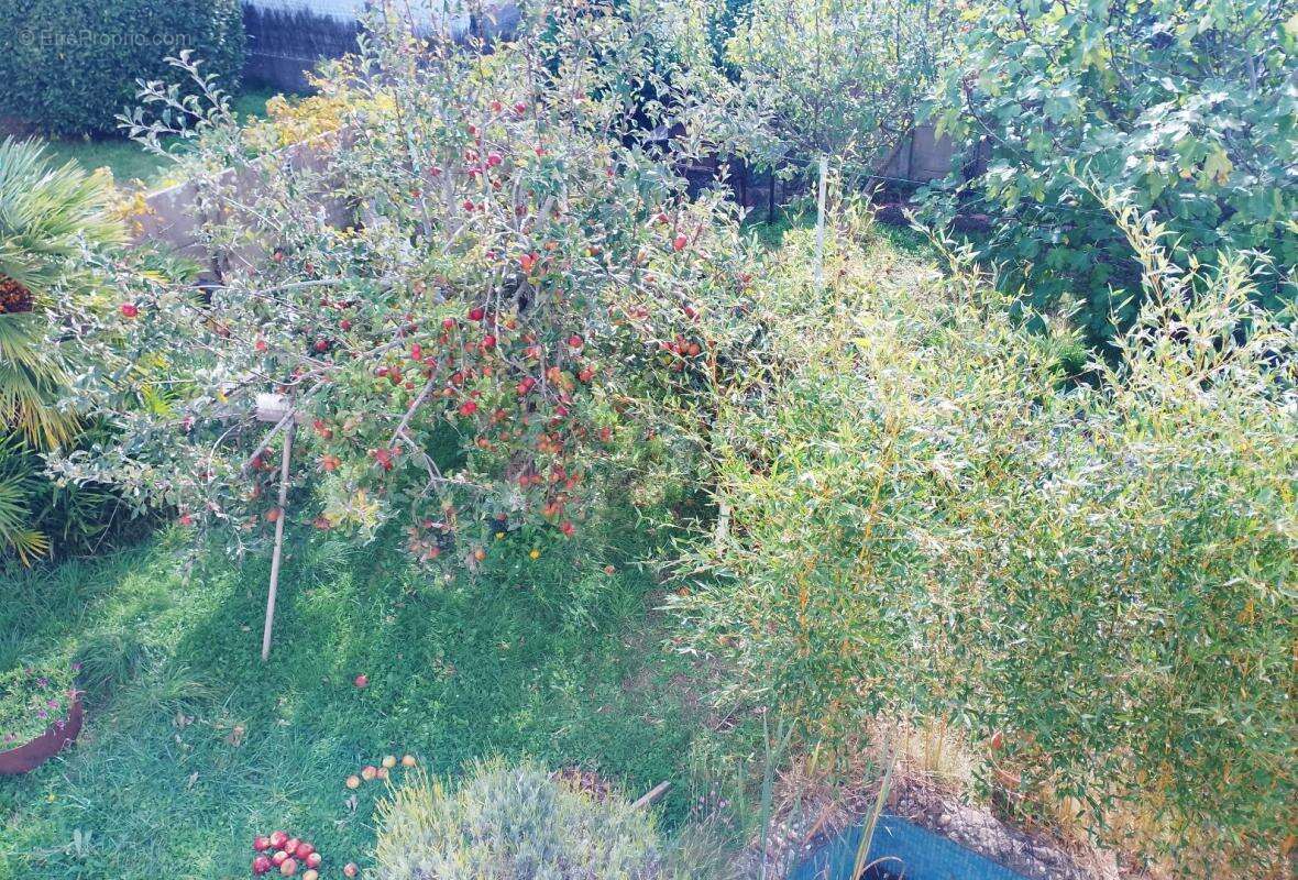 Maison à SAINT-GILLES-CROIX-DE-VIE