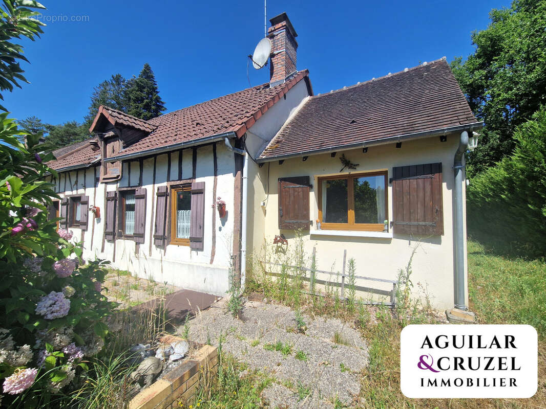 Maison solognote de plain-pied avec garage et dépendances   Neuvy-sur-Barangeon - photo 11