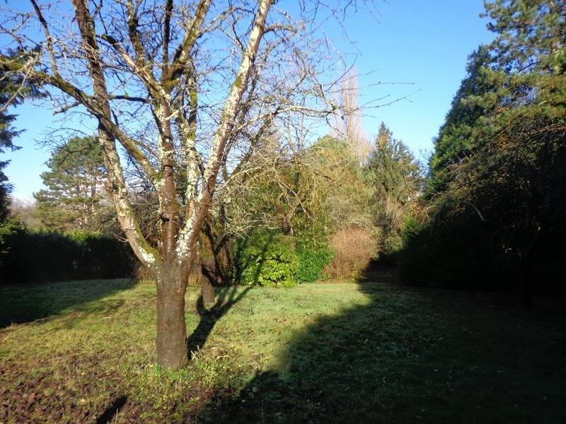 Terrain à AVILLY-SAINT-LEONARD