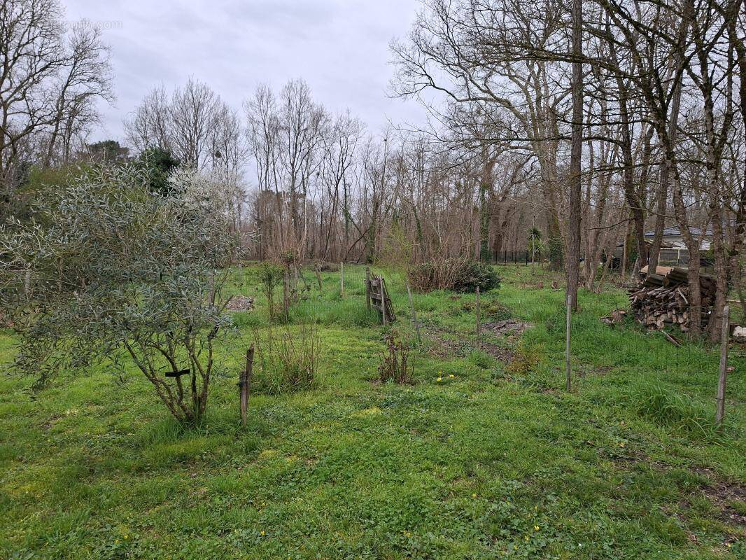 Terrain à SAINT-SELVE