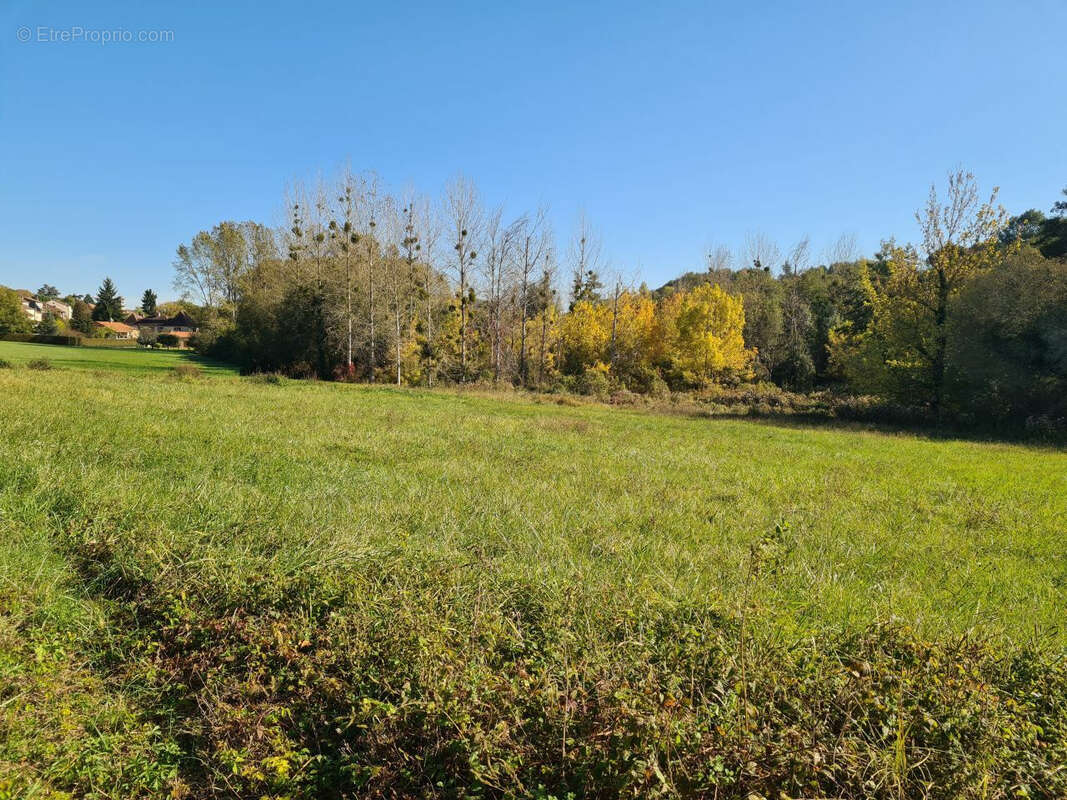 Terrain à VILLAMBLARD