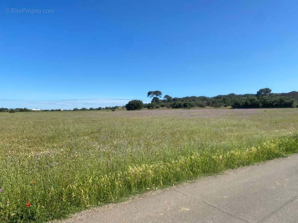 Terrain à MARAUSSAN