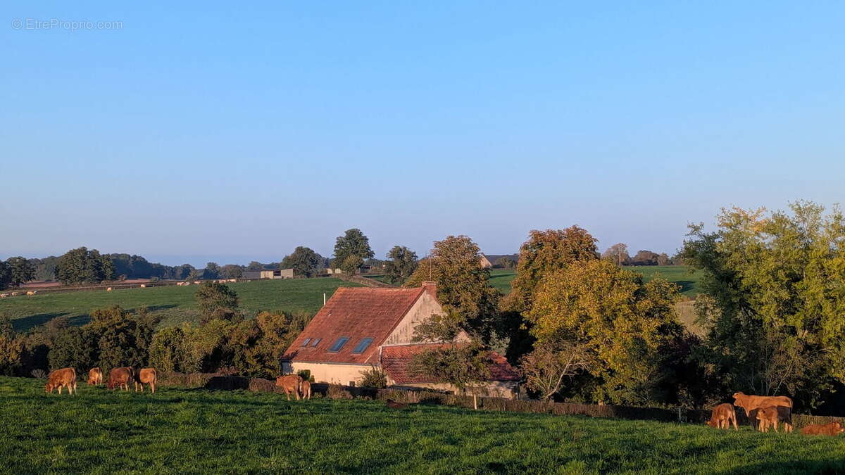 Maison à POULIGNY-NOTRE-DAME