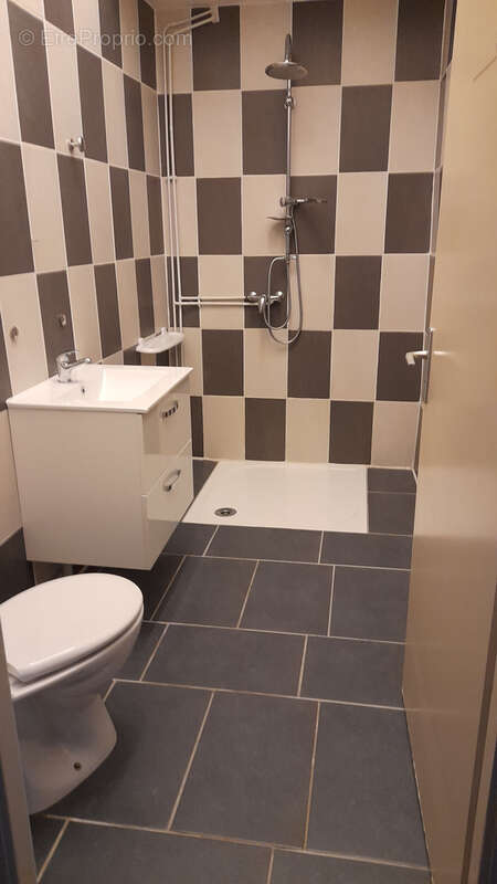 Appartement T3 LUNEVILLE Château. - photo 7