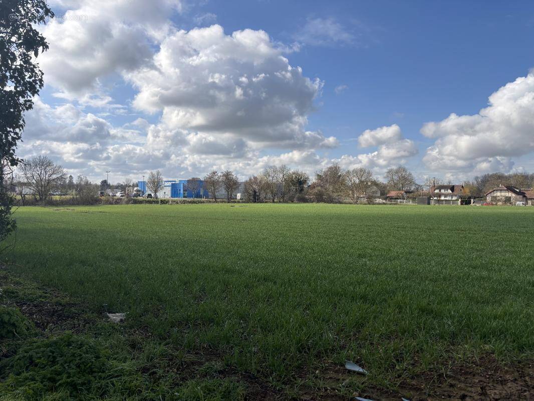 Terrain à ARGENTAN