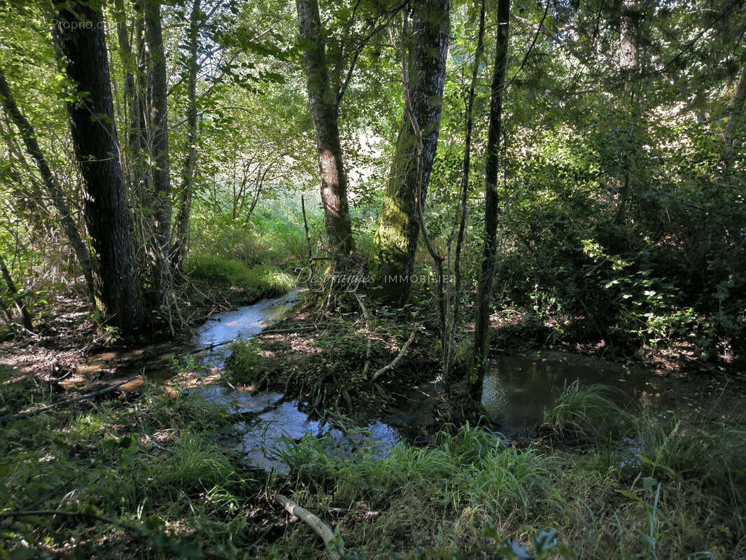 Terrain à SAINT-YRIEIX-LA-PERCHE