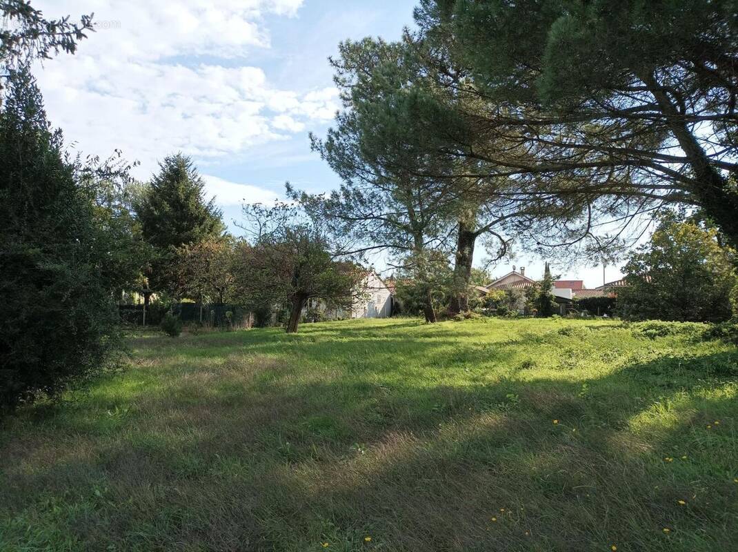 Terrain à BISCARROSSE