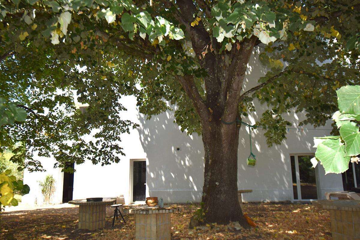 Maison à CASTELSARRASIN