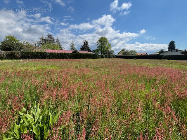 Terrain à LIT-ET-MIXE