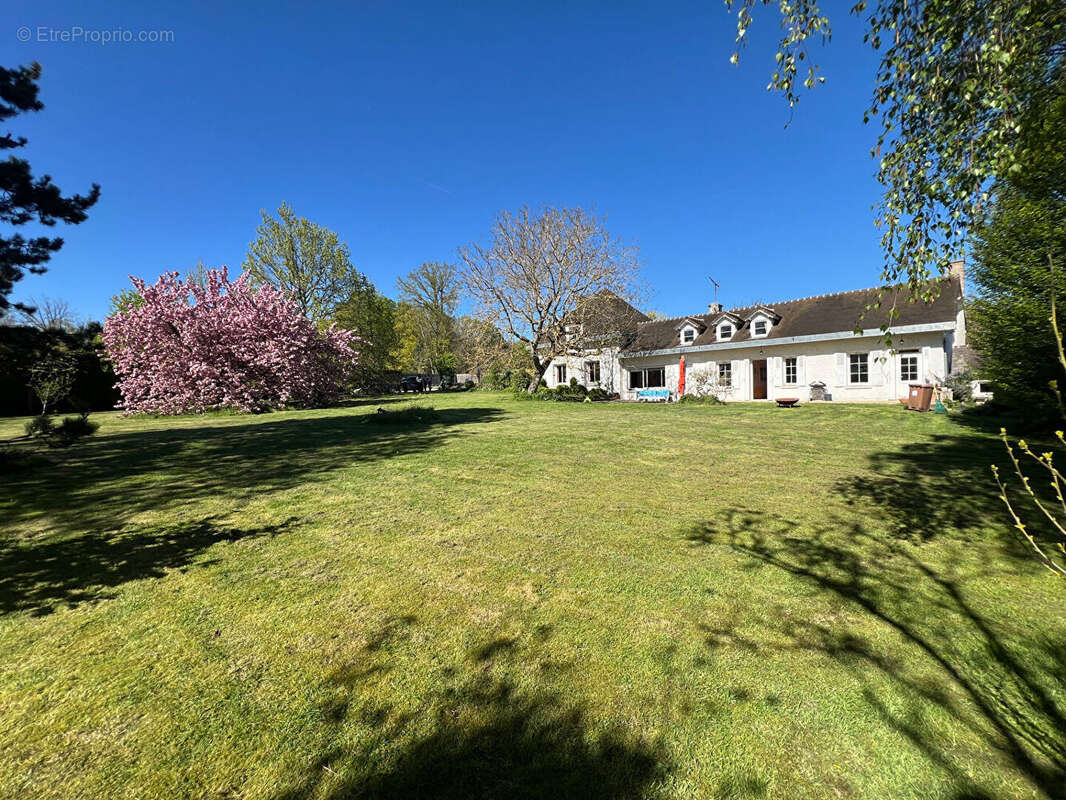 Maison à SAINT-MARTIN-DES-CHAMPS