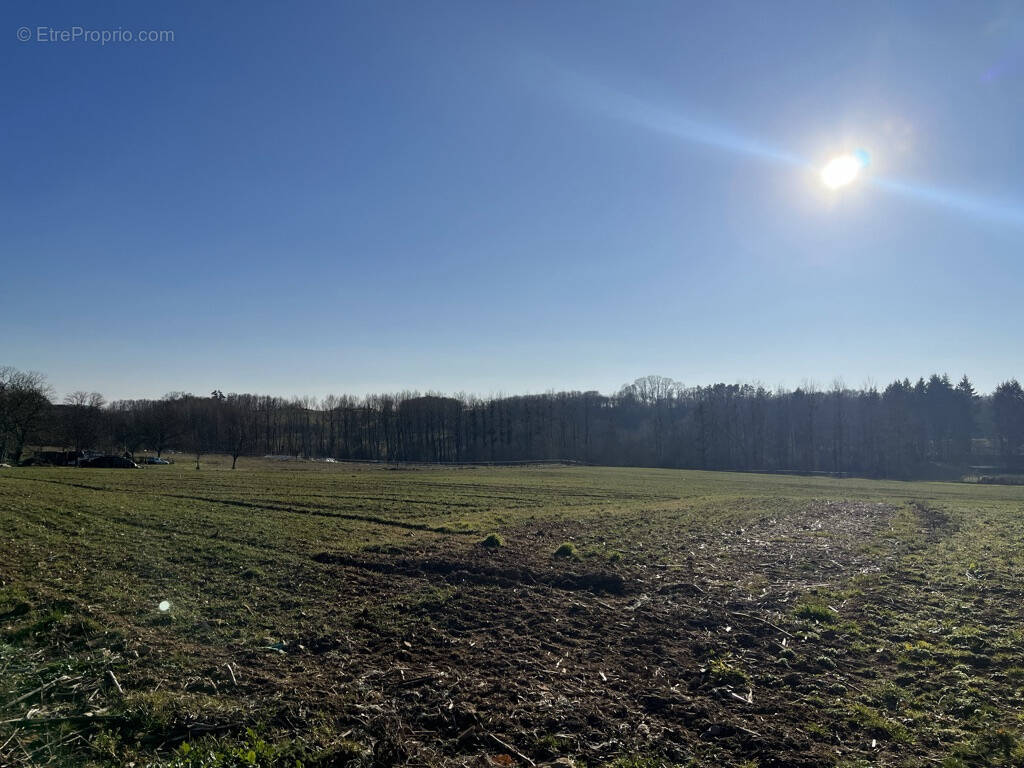 Terrain à VIGNOLS