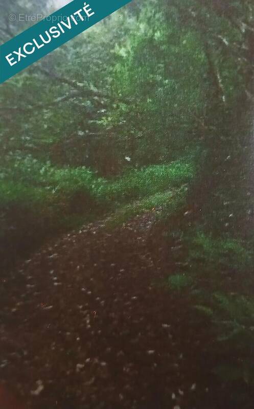 Photo 1 - Terrain à LA TRINITE