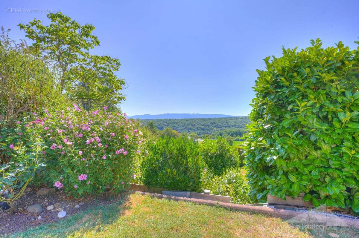 Maison 103 m² à Pougny  - photo 5