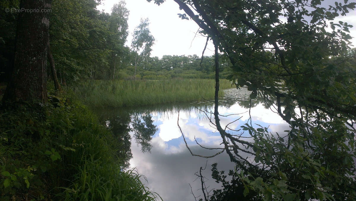 Terrain à PLOMBIERES-LES-BAINS
