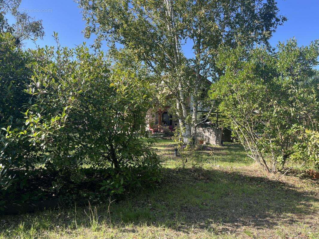 Maison à LE PIAN-MEDOC