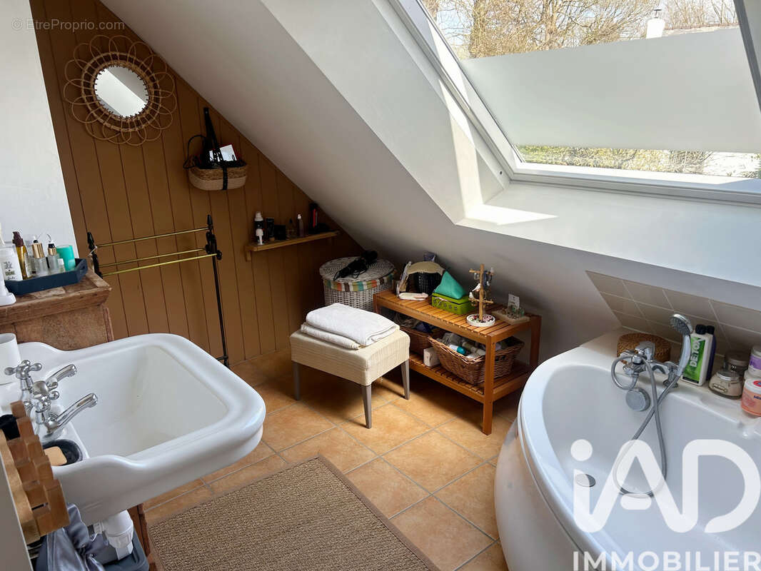 Photo 8 - Maison à LANGROLAY-SUR-RANCE