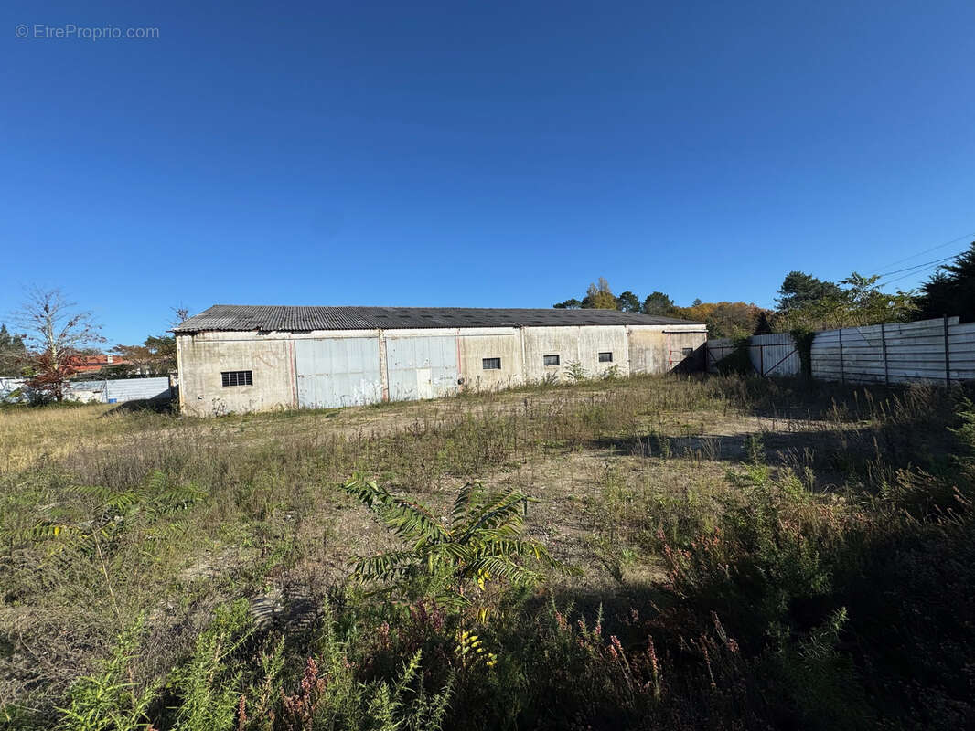 Commerce à ONESSE-ET-LAHARIE